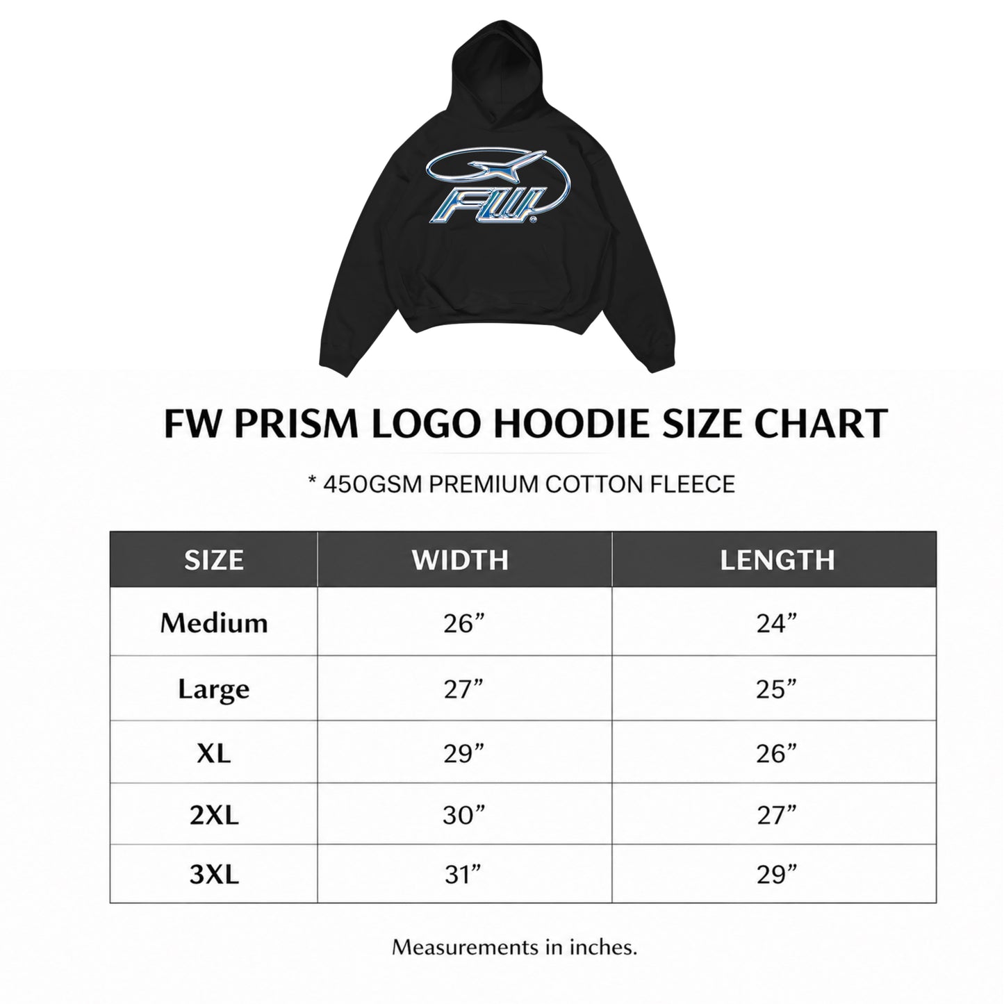 FW PRISM LOGO HOODIE
